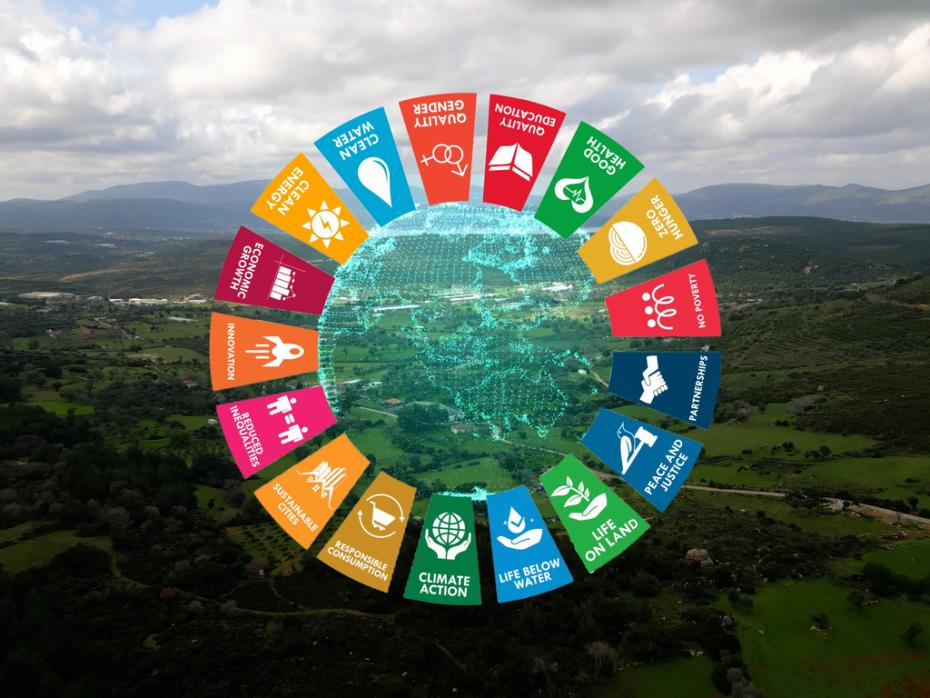 Image of a globe surrounded by the 17 SDG symbols