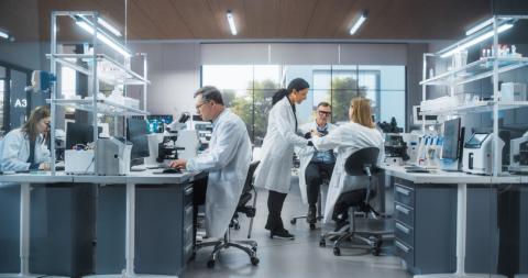 Scientists work in a lab